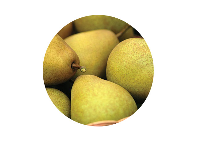 Birnen bei Windeldermatitis & Ernährung 